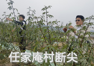 春意萌動，基地?zé)o閑時